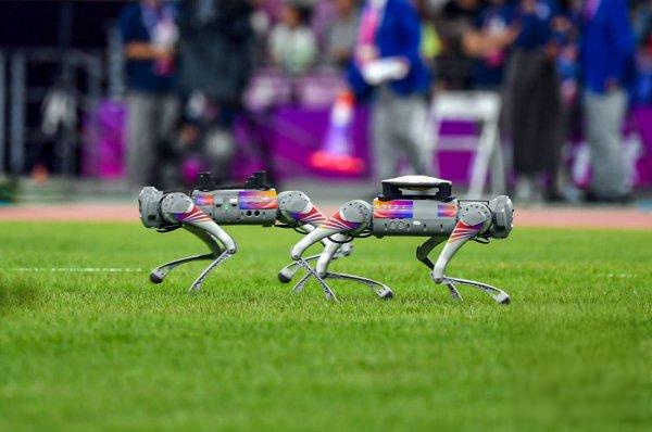 The “Heart” of Robot Dogs: Frameless Torque Motors and Permanent Magnet Materials The “Heart” of Robot Dogs: Frameless Torque Motors and Permanent Magnet Materials